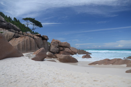 plage seychelloise