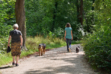 frau mit hund auf waldweg
