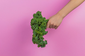 Hands holding fresh bunch of kale leaves over light pink background