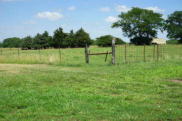 Fototapeta premium prarie in Kansas