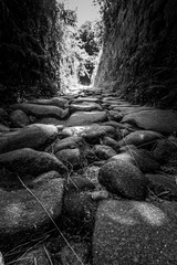 Obraz premium Caminho Antigo