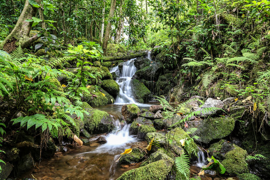 Mini waterfall at Hamama