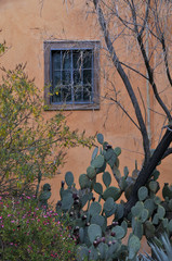 Window in Wall with Cactus