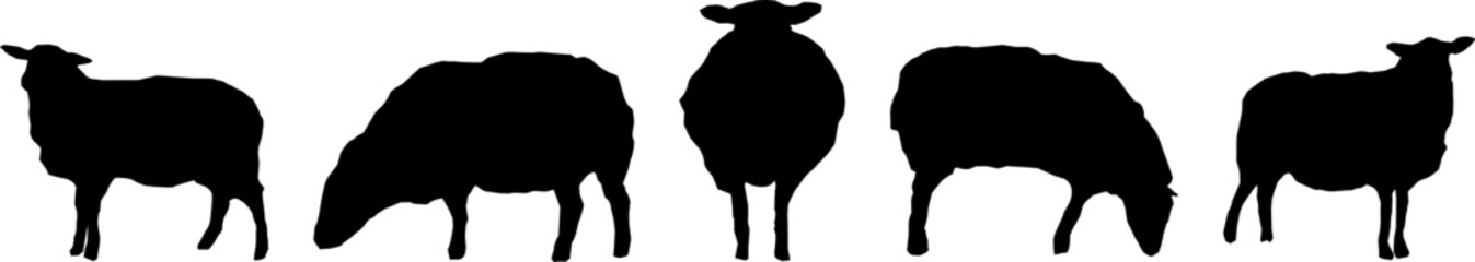 Sheep Lamb Silhouette