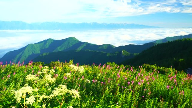 View of meadow,  Ueda City,  Nagano Prefecture