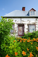 Abandoned farmhoouse with orange flowers and greenery in foreground