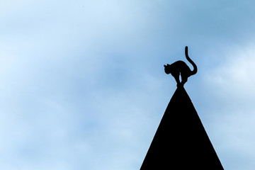 The detail of a black cat on one of the houses in Riga in Latvia against the gloomy sky. 