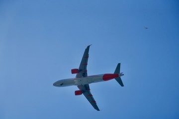 Airplane and seagull