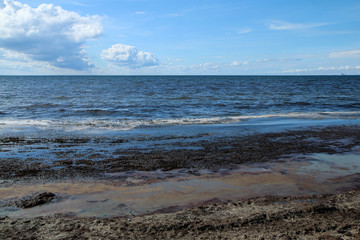 A sandy beach in Malmö in Sweden with the rotten smelly seaweeds on it with a dirty soiled water  