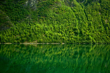 travelling norwegian fjord nature by cruise ship