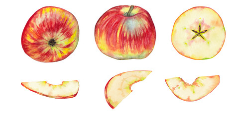 Realistic red apples and slices.