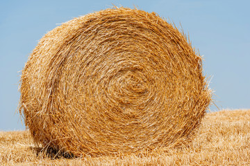 bales of hay