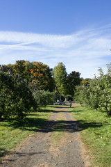 Pommes