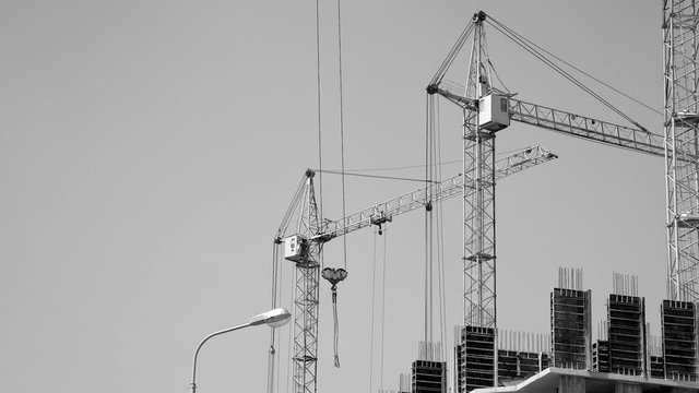 Several tower cranes build a multi-storey building and move cargo, long-range plan, time-lapse, monochrome