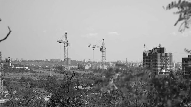 Several tower cranes build a multi-storey building and move cargo, long-range plan, time-lapse, monochrome
