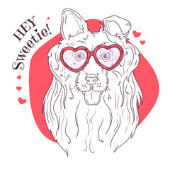 Vector sketching illustrations. Portrait of a cute dog in glasses.