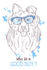 Vector sketching illustrations. Portrait of a cute dog in glasses.