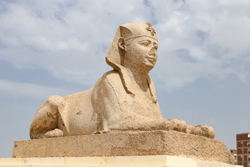 Fototapeta premium Sphinx in Serapeum of Alexandria, Egypt