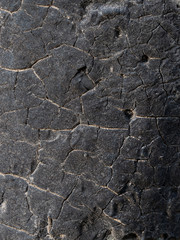 Texture. Charred wood. Cracks, ebony.
