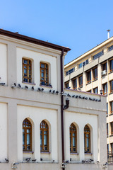 Fototapeta na wymiar Vertical frame old turkish municipality building facade with wooden frame windows
