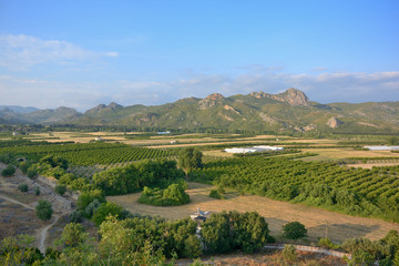 landscape with green fields and hills