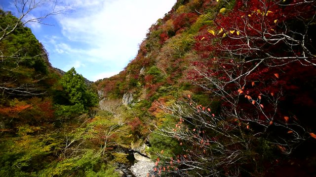 Beppu Canyon in autumn, Kami, Kochi