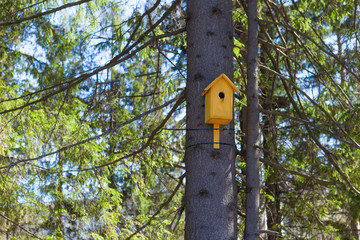Old yellow birdhouse on a tree, bird care