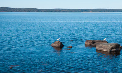 Fototapeta premium Calm blue lake with stones and birds on them