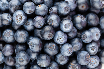 Fresh blueberry background. Texture blueberry berries close up.