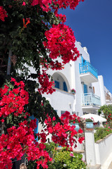 Fototapeta na wymiar Colourful balconies and red flowers, Agia Anna, Naxos, Greek Islands
