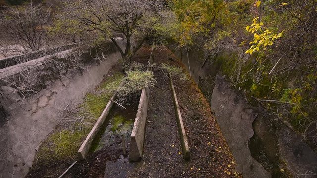 Plants on industrial area, Ena, Gifu Prefecture, Japan