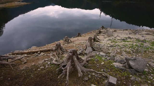 View of lake and tree stumps, Ena, Gifu Prefecture, Japan