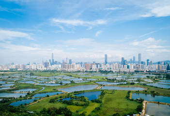Naklejka premium Rural green fields with fish ponds between Hong Kong and skylines of Shenzhen,China