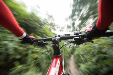 Blurred motion of riding mountain bike on summer forest trail