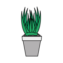 houseplant in pot natural icon