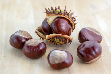 Group of fresh autumnal chestnuts on wooden table, spiny nuts isolated od brown background