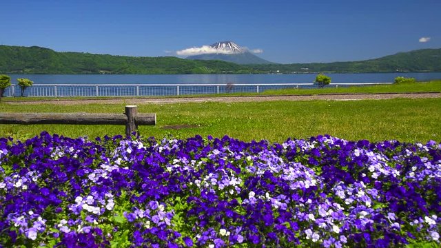 Toya Lake seen over flower bed, Toyako, Hokkaido