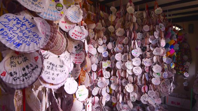 Hanging Scallop Seashells, Ofunato, Iwate