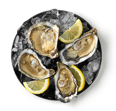 Plate Of Fresh Oysters On White Background