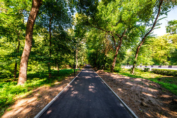 Asphalt walking path through the city park