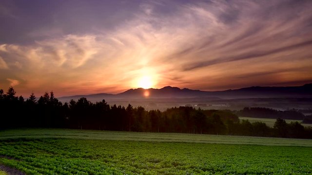 Summer field at sunrise with mountains in background