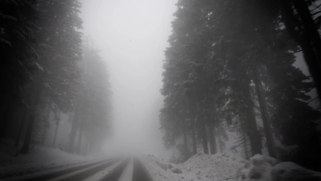 POV personal perspective view from the car - Seebach