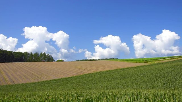 Low angle shot of tractor working in field, Omura, Biei, Kamikawa