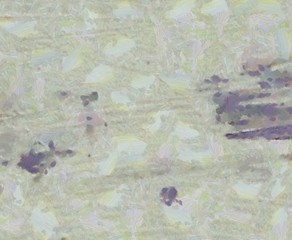 Scratches grunge high quality texture background. Oil painting. Backdrop pattern.