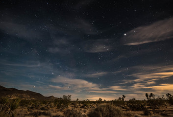 Night Photos from Joshua Tree National Park