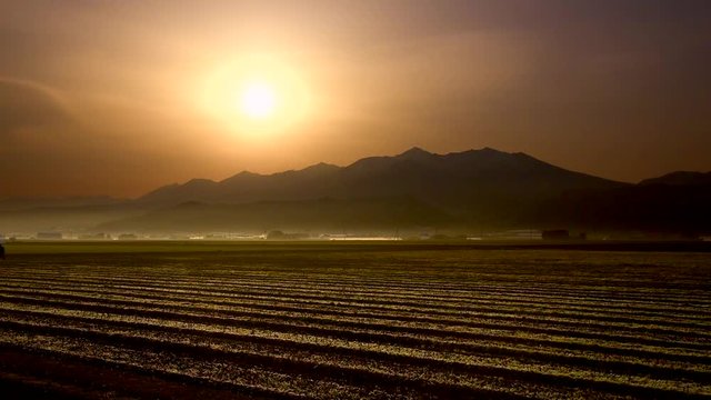Asparagus field at sunrise with Mount Tokachi in background