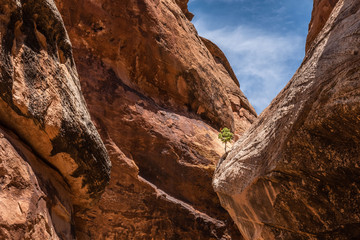 Fototapeta na wymiar Landscape Photos from Colorado National Monument