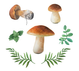 Watercolor edible mushrooms and different leaves. Autumn boletus collection. 