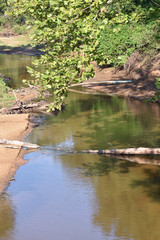 Muddy Creek