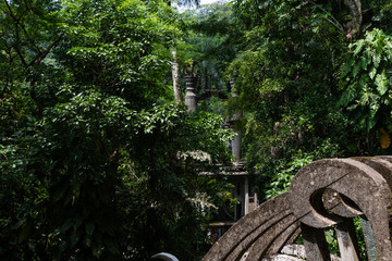 abandoned surrealistic Garden in Xilitla Mexico